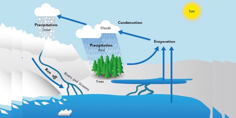 Quiz: How Much You Know About Water Cycle?
