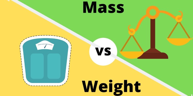 Mass And Weight Quiz: How Much You Know About Mass And Weight?