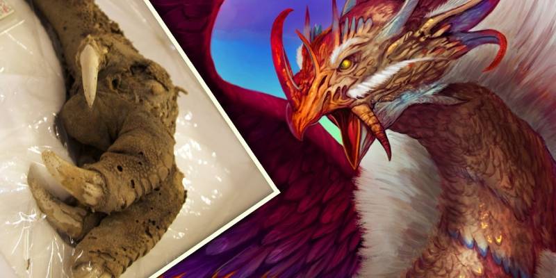 Quiz: Which Mythical Creature Is Your Guardian?