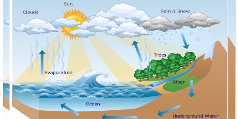 Quiz: Can You Pass The Test About Hydrosphere?