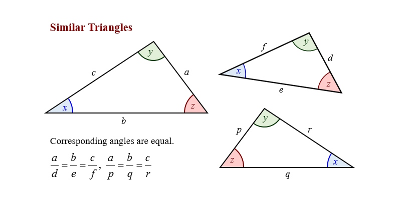 Similarity Of Triangle Trivia Quiz