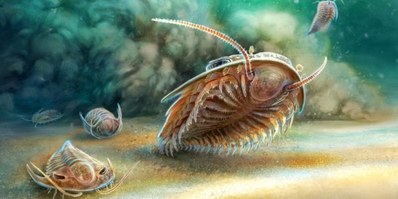  Sea Creature Quiz: What Sea Creature Are You?