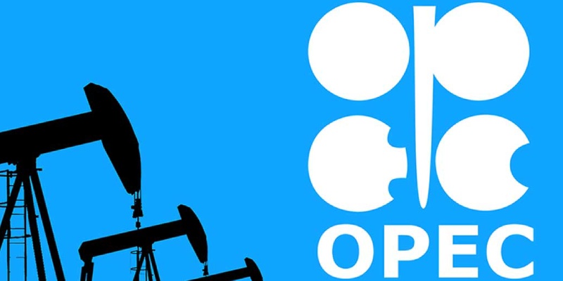 Organization of the Petroleum Exporting Countries (OPEC) Quiz