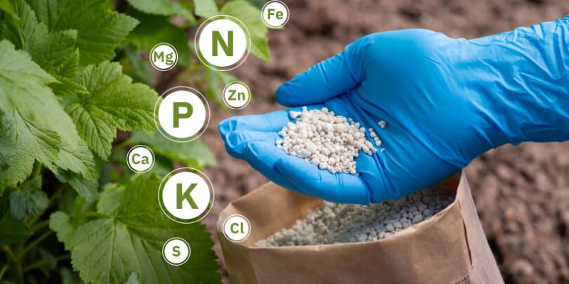 Fertilizer Quiz: Test Your Fertilizer Knowledge