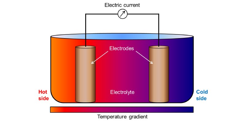 Electric Cell Quiz: Do You Know About Electric Cell?