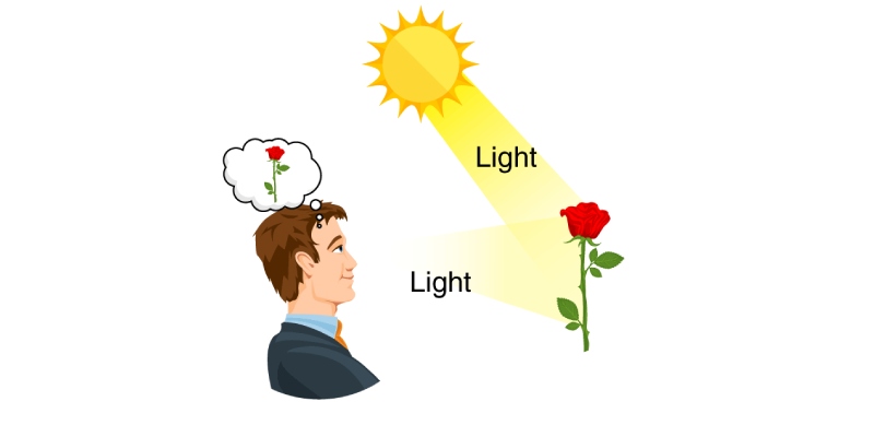 NCERT Solutions for Class 8 Science Chapter 13 Light Quiz Questions & Answers