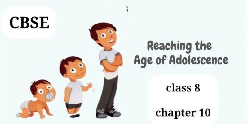 Reaching the Age of Adolescence Class 8 chapter 7 quiz & answer